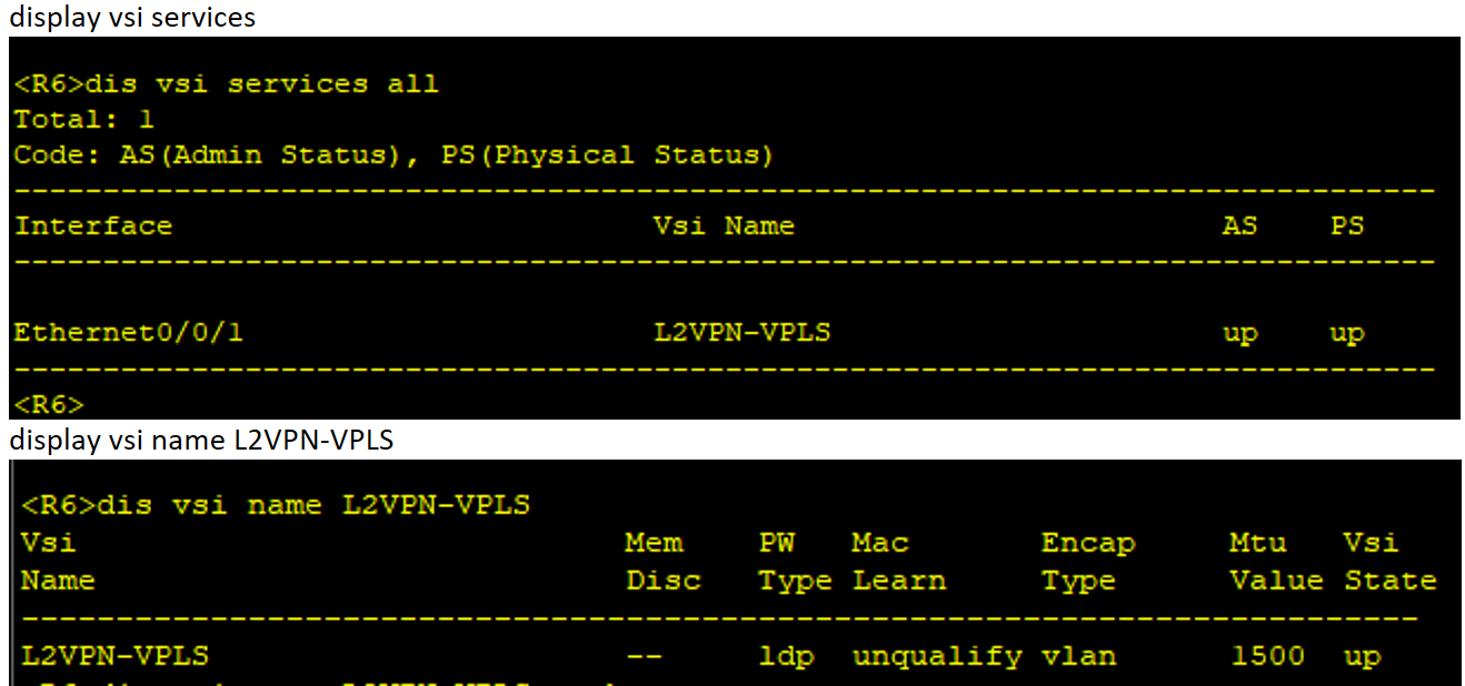 VPLS Martini Verification 2